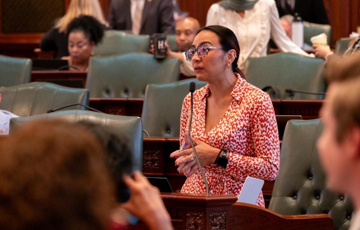 Rep. Dagmara Avelar, D-Romeoville, speaks on the House floor on Saturday, May 31, the final day of session. Avelar’s bill regarding non-FDA approved drugs passed the House this week. (Capitol News Illinois photo by Andrew Adams)