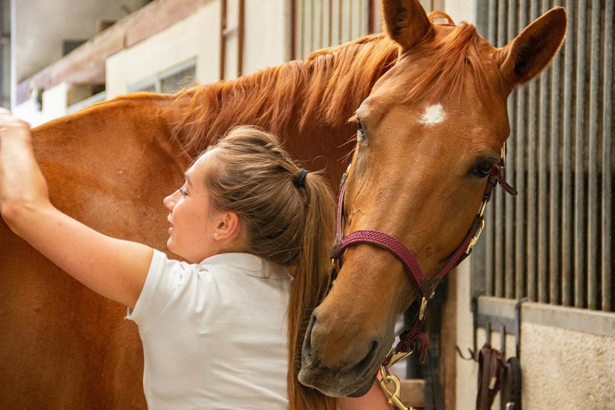 A measure awaiting Gov. JB Pritzker would mandate that certain insurance plans cover hippotherapy and other therapeutic horseback riding treatments. (photo by Philippe Oursel via Unsplash)