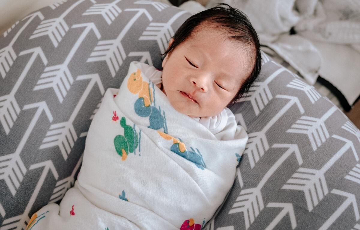 sleep sack shutterstock