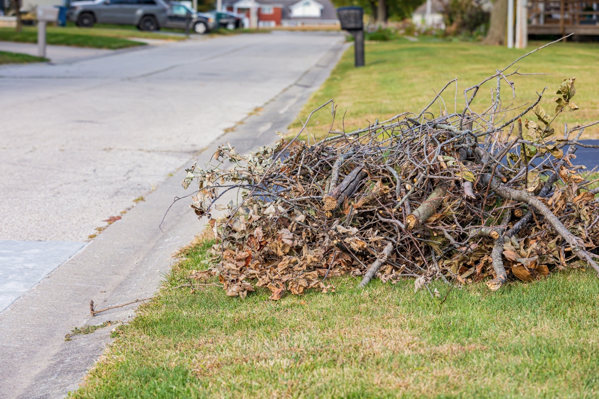 A pile of branches