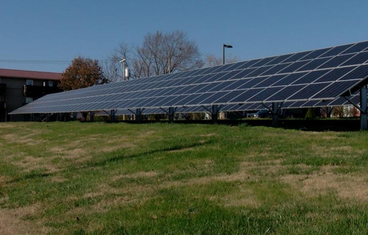 A solar farm in Carbondale, Illinois, in late 2024. (Capitol News Illinois photo by Andrew Campbell)