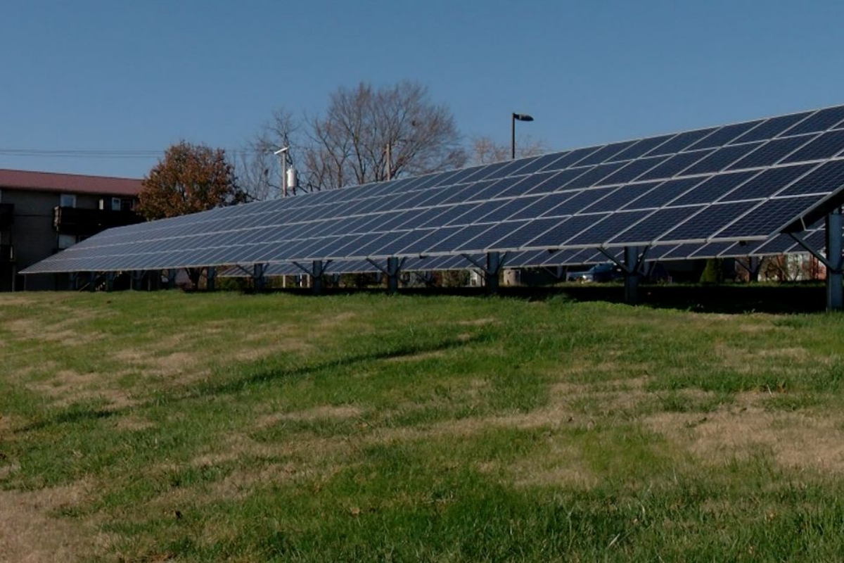 A solar farm in Carbondale, Illinois, in late 2024. (Capitol News Illinois photo by Andrew Campbell)