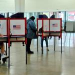 Voters cast their ballots in Springfield during the 2024 general election in November. (Capitol News Illinois photo by Andrew Campbell)