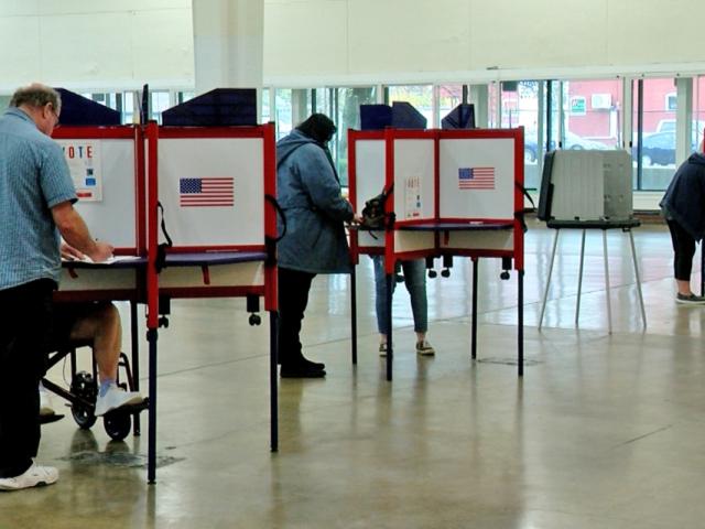 Voters cast their ballots in Springfield during the 2024 general election in November. (Capitol News Illinois photo by Andrew Campbell)