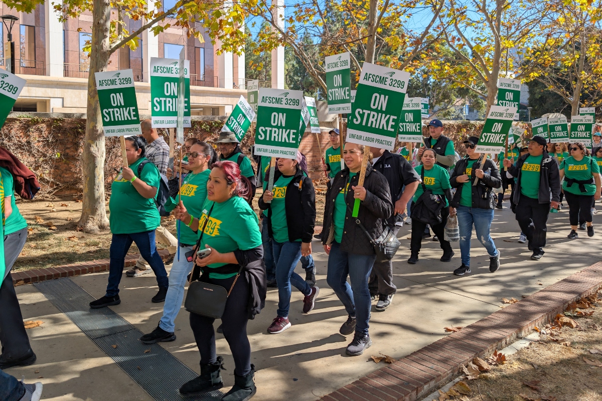 AFSCME workers on strike