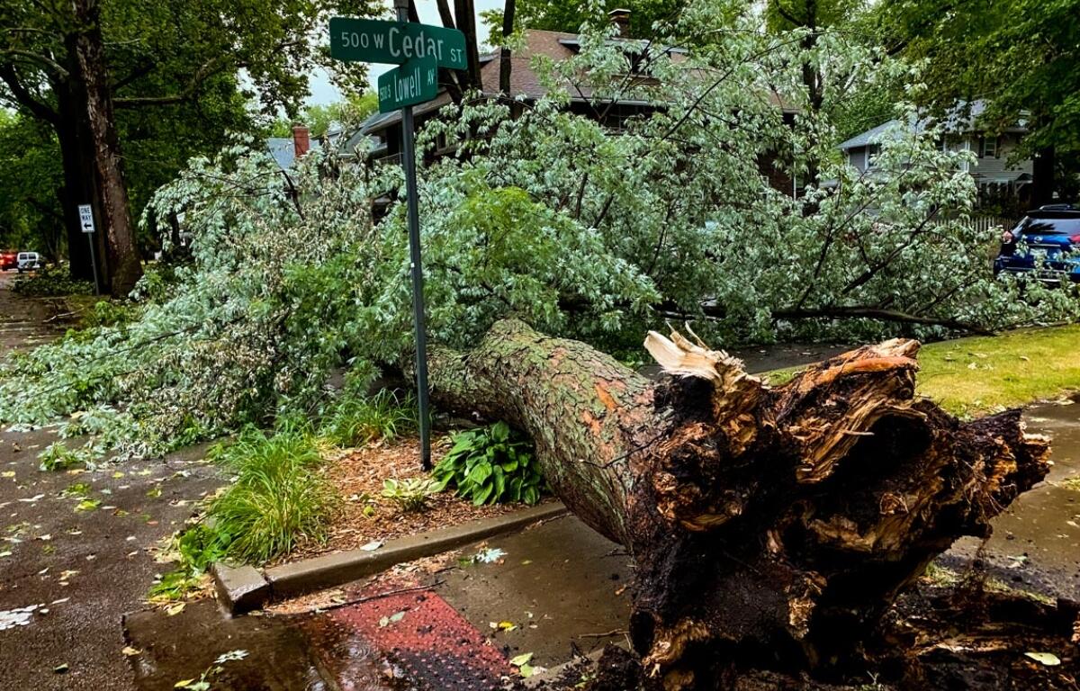 A 2023 storm caused extensive home damage in parts of Springfield, including trees falling on homes. (Capitol News Illinois photo by Jerry Nowicki)
