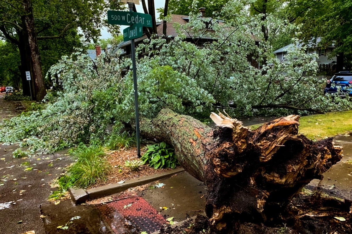 A 2023 storm caused extensive home damage in parts of Springfield, including trees falling on homes. (Capitol News Illinois photo by Jerry Nowicki)