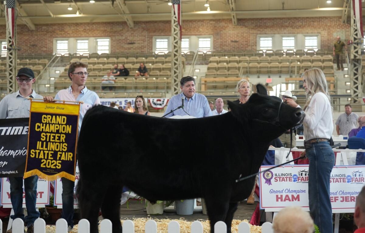 "Bruce,' the grand champion steer at the Illinois State Fair, shown by Kadie Hummel (right).