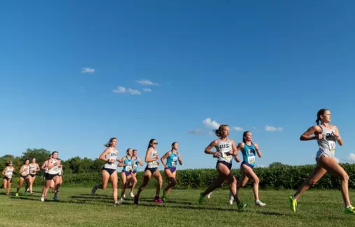 UIS Women's Cross Country