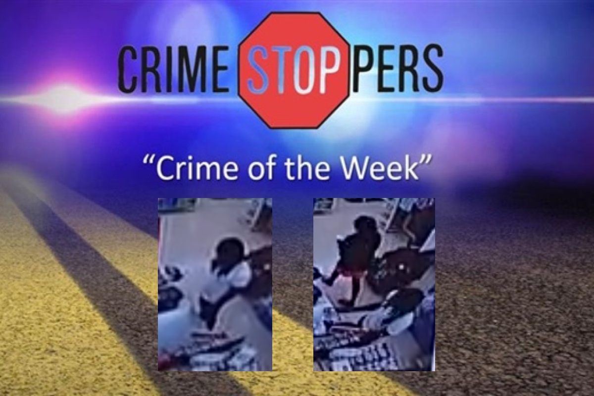 These two men used a fraudulent credit card to purchase gift cards from a Family Dollar store.