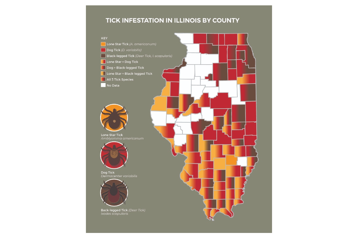 A map of tick infestation