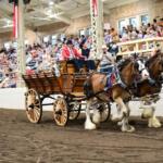The World Clydesdale Show will come to Springfield October 1-5.