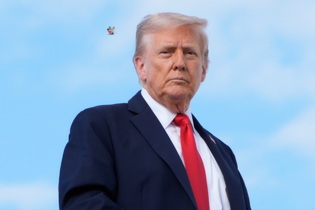 A spotted lanternfly flies past President Donald Trump as he boards Air Force One, Thursday, Sept. 11, 2025, at Joint Base Andrews, Md., to travel to New York. (AP Photo/Alex Brandon)