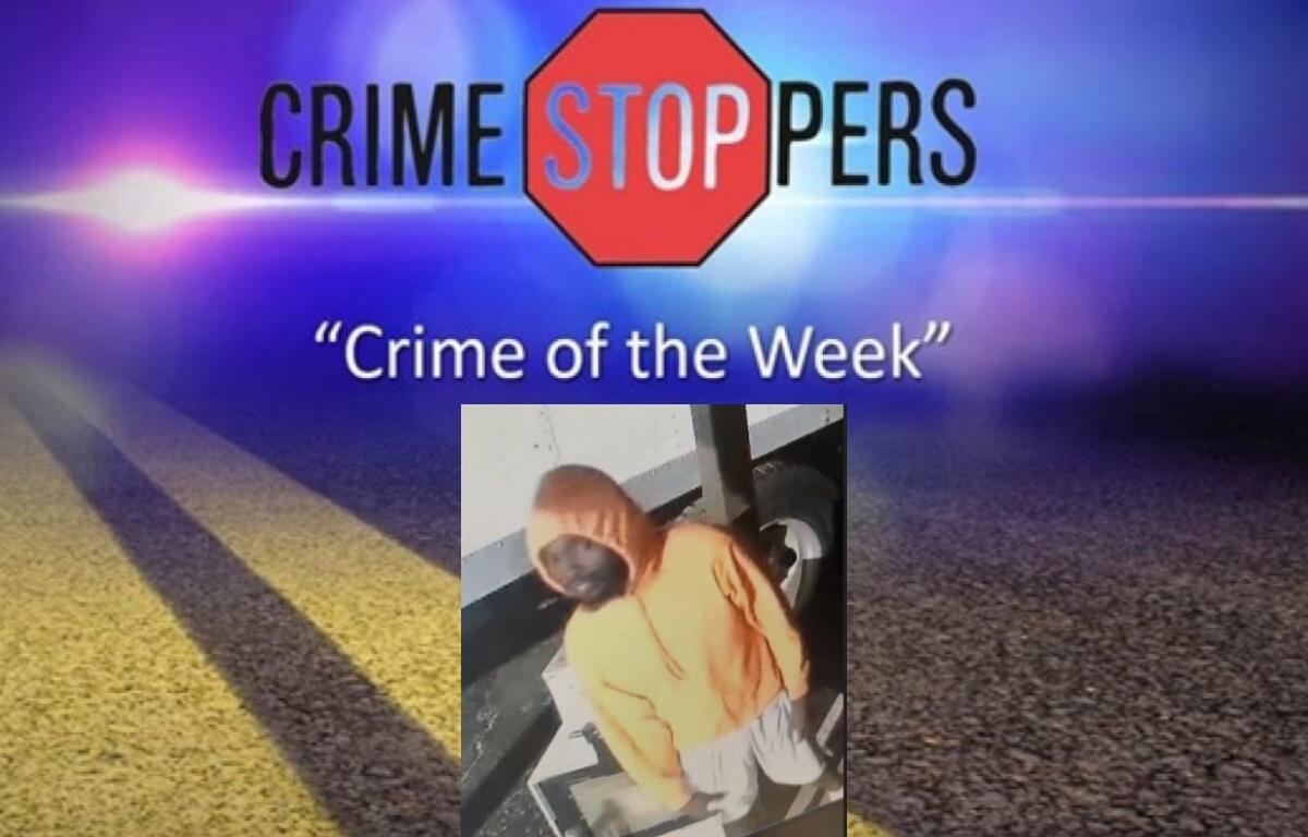Can you identify this suspect wanted for theft and criminal damage to property?