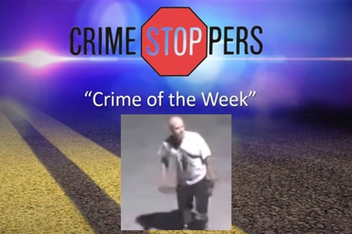 Can you identify this suspect in a recent burglary in Springfield?