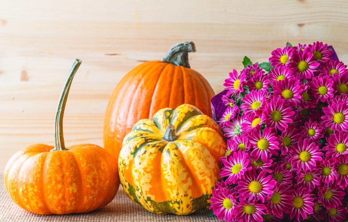 pumpkins and fall decorations
