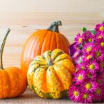 pumpkins and fall decorations