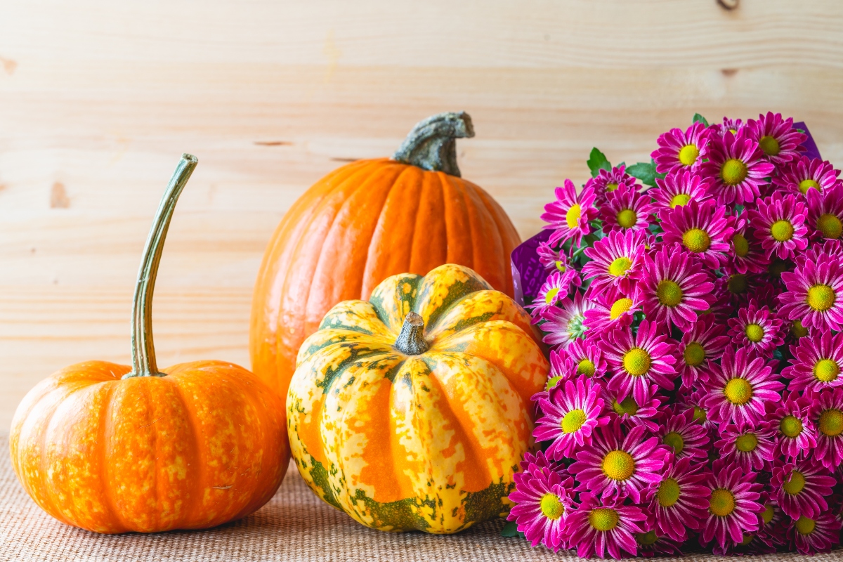 pumpkins and fall decorations
