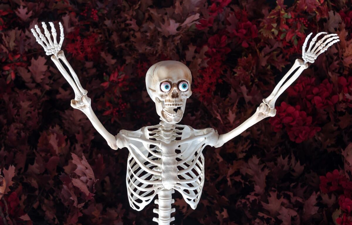 A scared skeleton