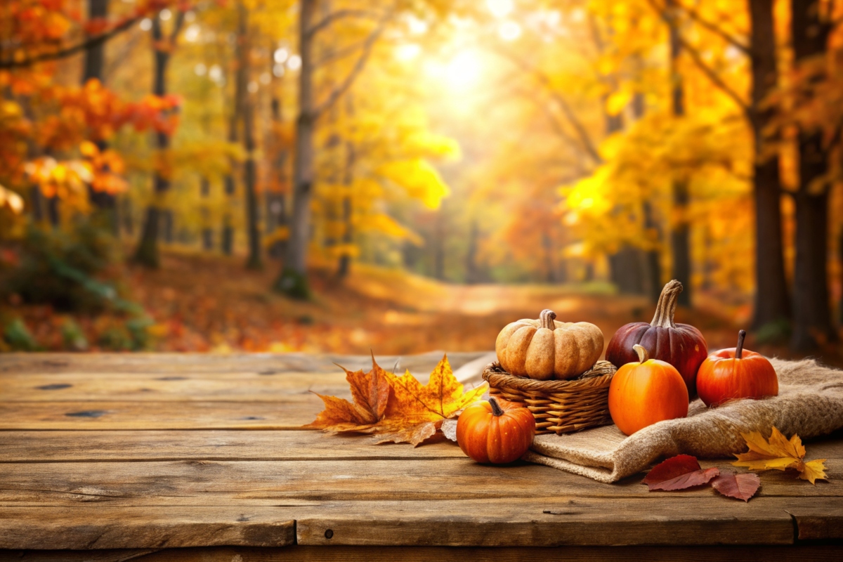 November and fall