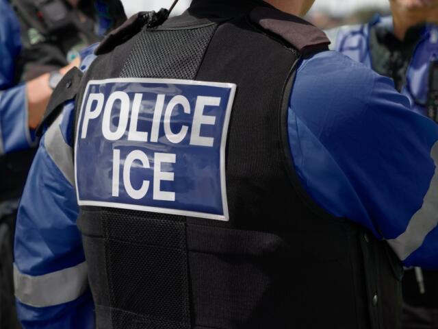 ICE agents