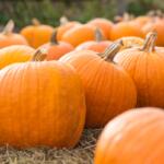 Pumpkins
