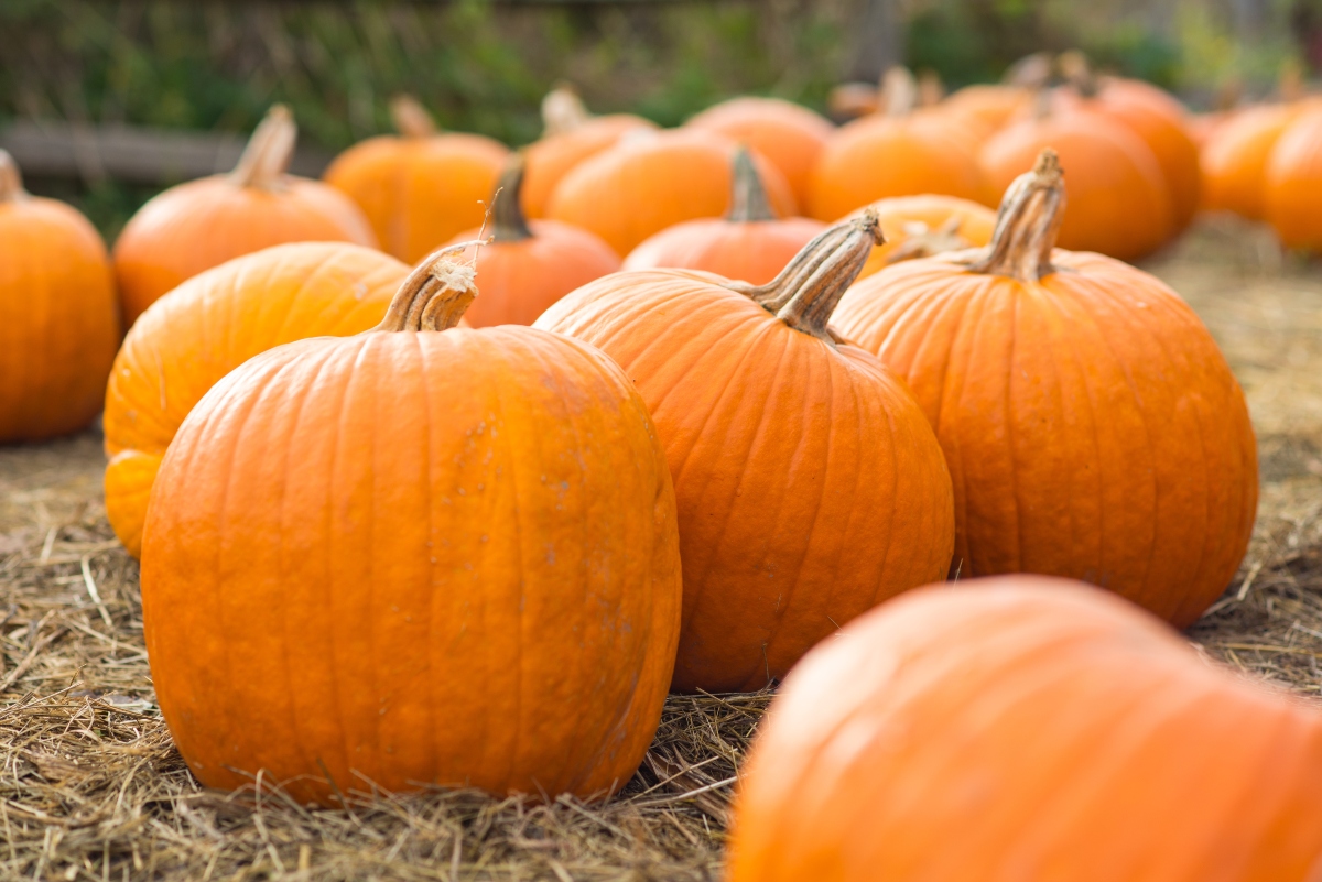 Pumpkins