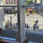 People could be seen rallying near Main and Jefferson Streets in Peoria Monday morning, from a second floor window of the Peoria County Courthouse. Seen are only part of those who showed up.