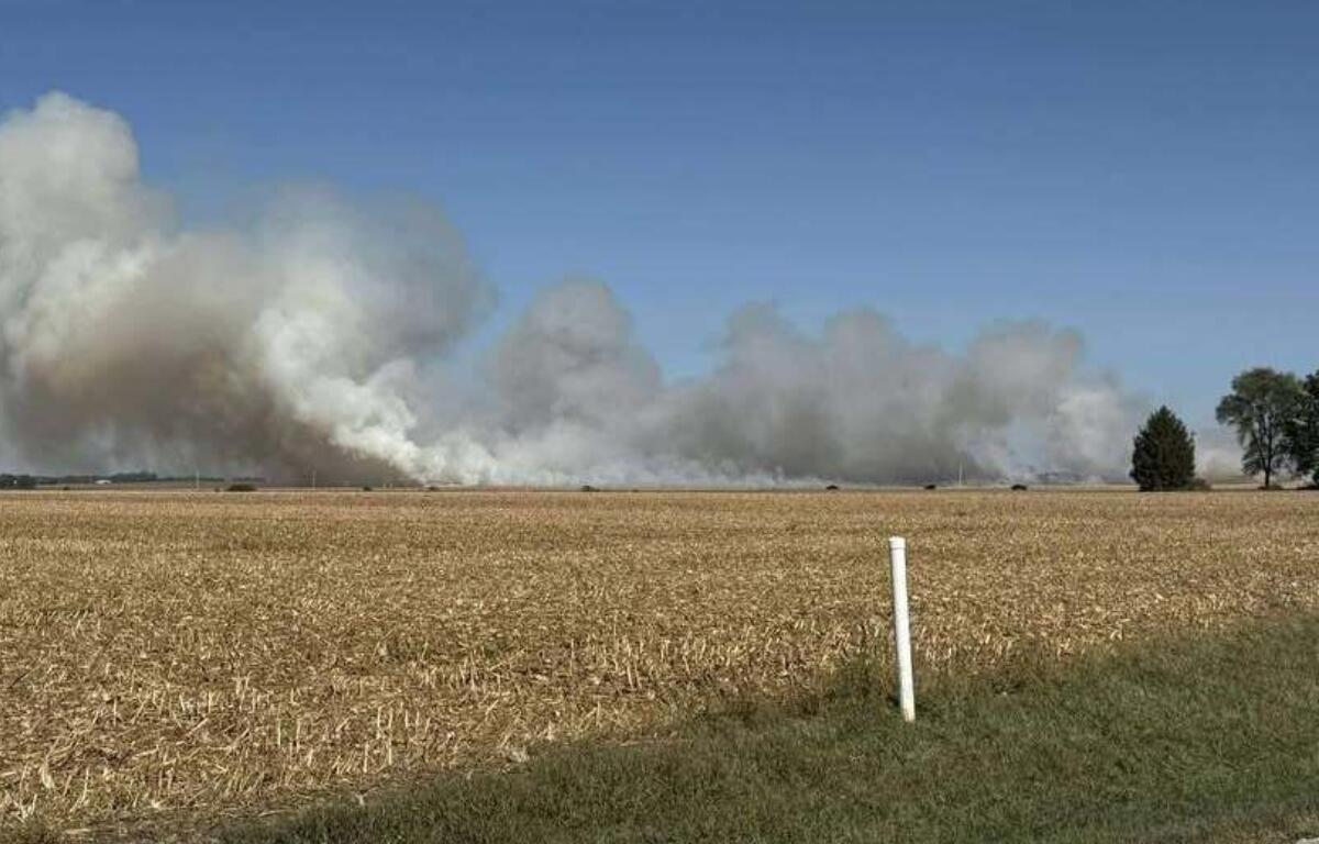 Crews battled a field fire near Blue Mound Sunday afternoon.