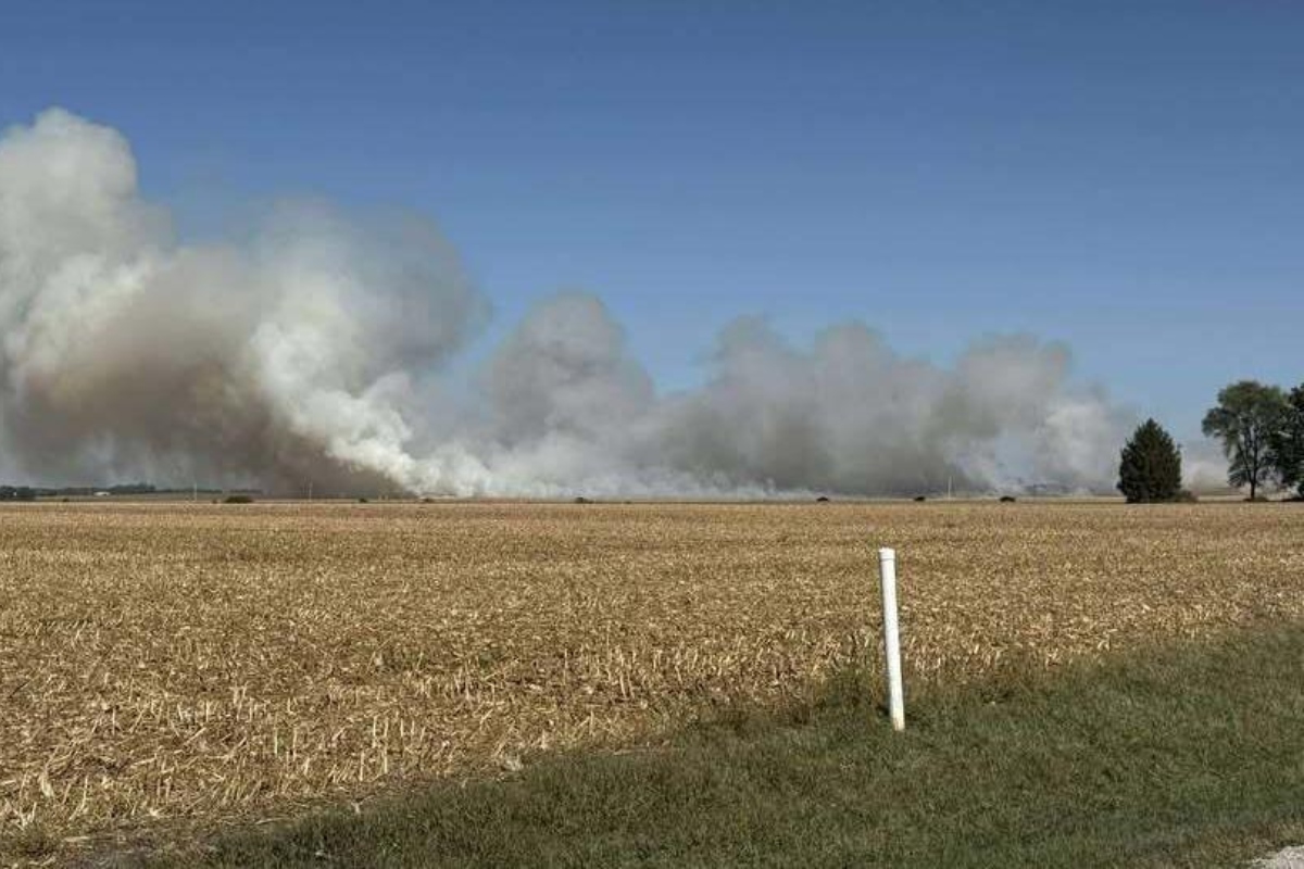 Crews battled a field fire near Blue Mound Sunday afternoon.
