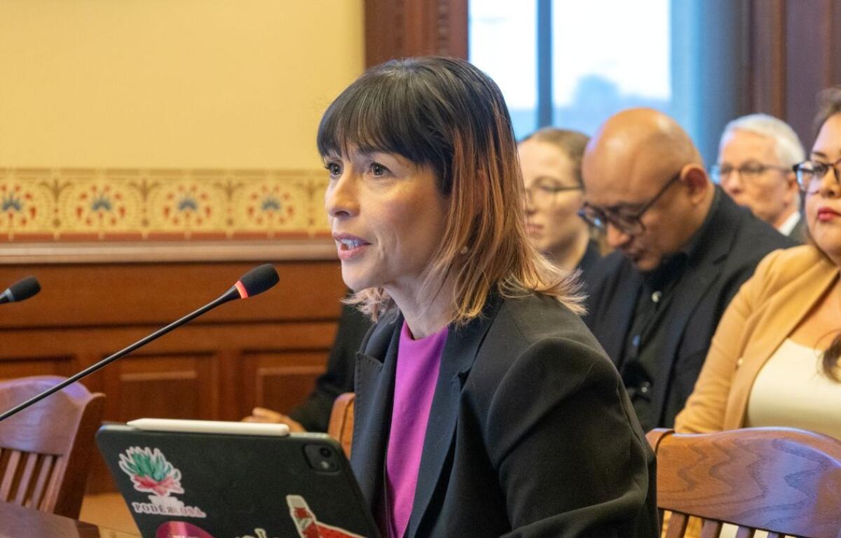 Rep. Eva-Dina Delgado, D-Chicago, speaks in an Illinois House committee about a public transportation reform bill on May 31, 2025. (Capitol News Illinois photo by Andrew Adams)