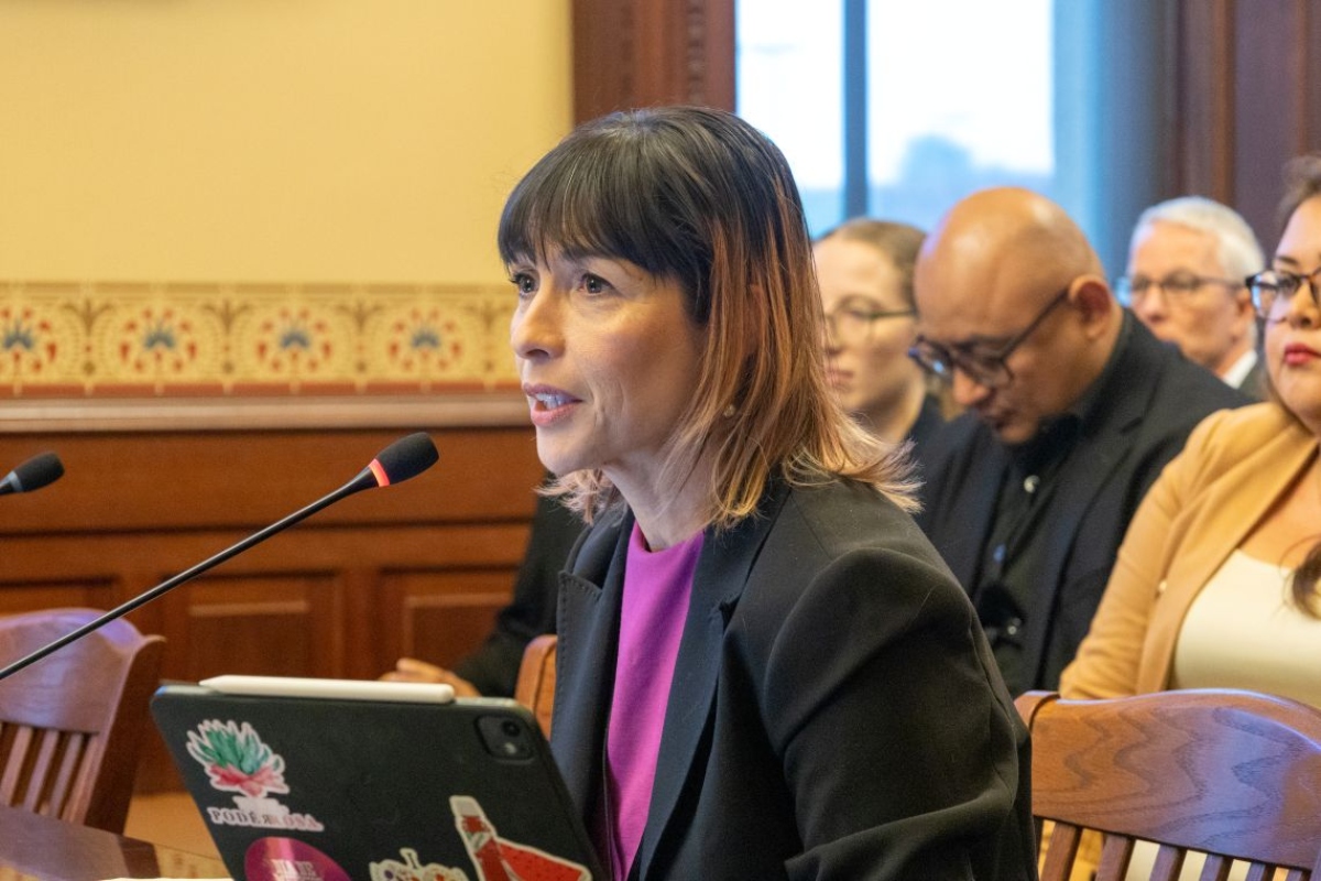 Rep. Eva-Dina Delgado, D-Chicago, speaks in an Illinois House committee about a public transportation reform bill on May 31, 2025. (Capitol News Illinois photo by Andrew Adams)