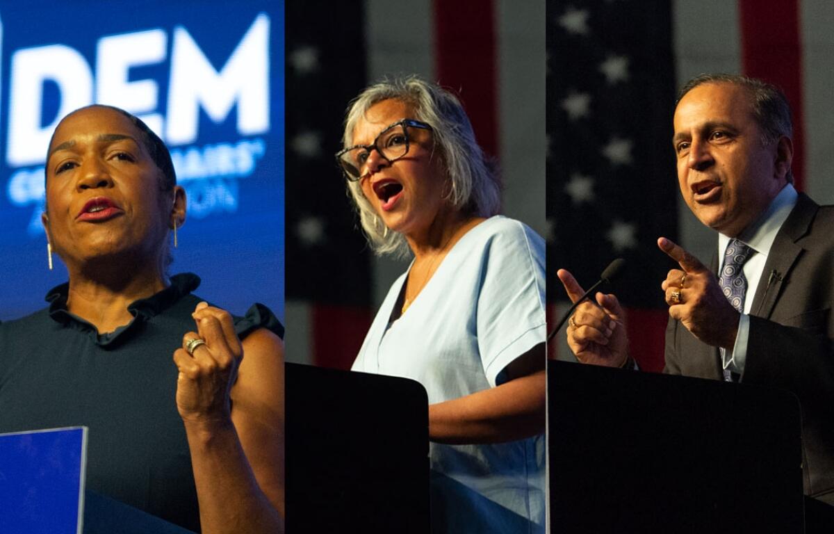 Lt. Gov. Juliana Stratton and U.S. Reps. Robin Kelly and Raja Krishnamoorthi were the fundraising leaders in the Democratic Senate primary, according to quarterly finance reports. (Capitol News Illinois photos by Jerry Nowicki)