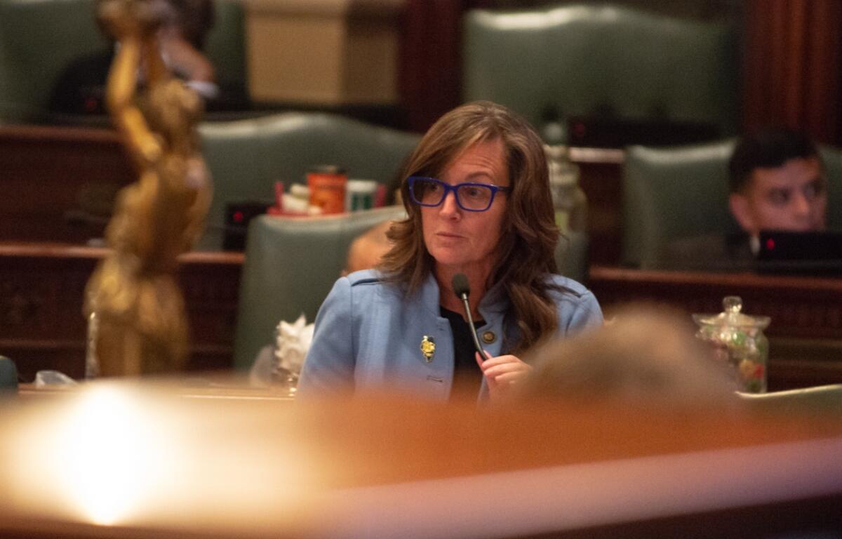 State Rep. Katie Stuart presents her bill aimed at protecting public officials from doxing on the Illinois House floor on Tuesday, Oct. 28, 2025. (Capitol News Illinois photo by Jerry Nowicki)
