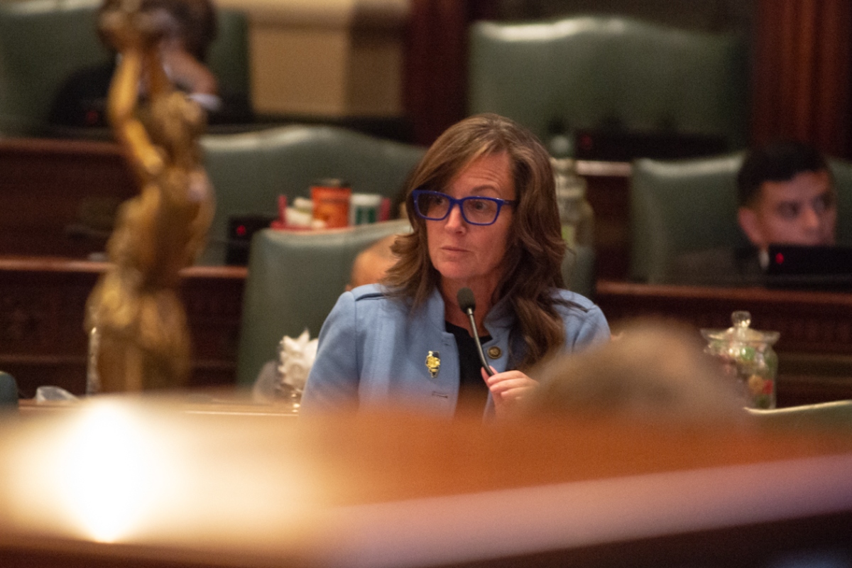 State Rep. Katie Stuart presents her bill aimed at protecting public officials from doxing on the Illinois House floor on Tuesday, Oct. 28, 2025. (Capitol News Illinois photo by Jerry Nowicki)