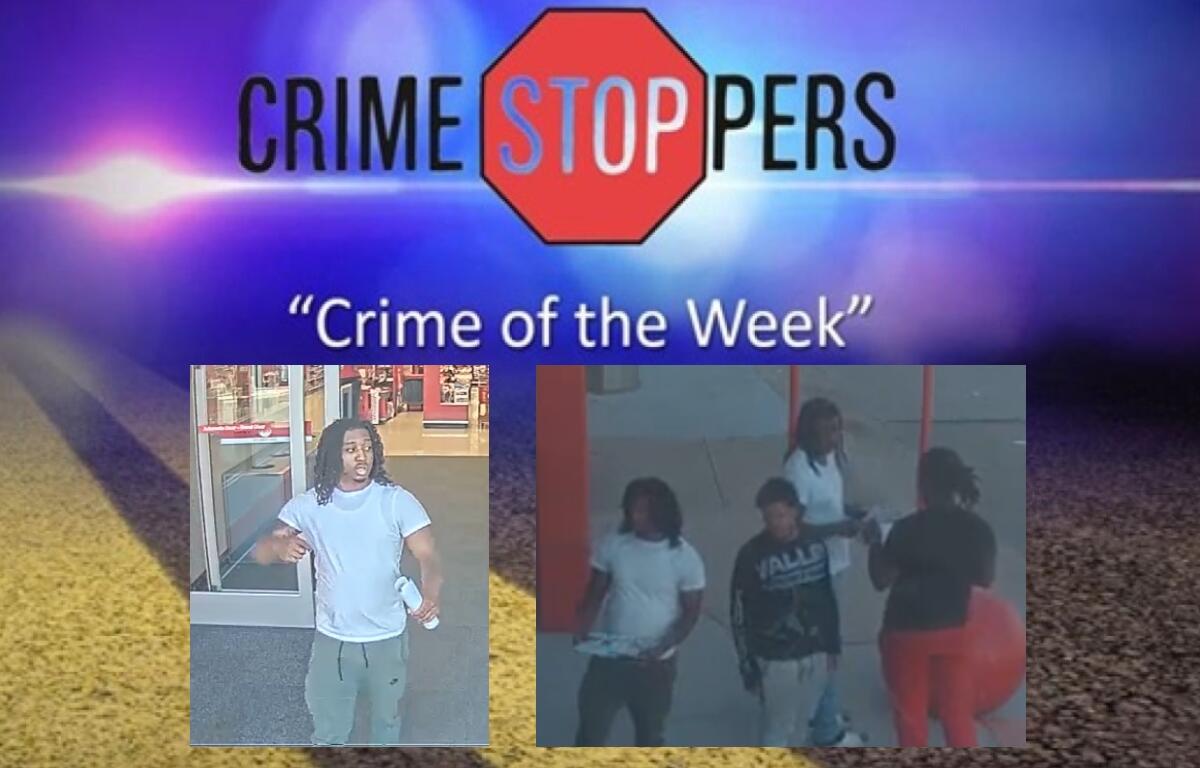 Can you identify these theft suspects?