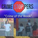 Can you identify these theft suspects?