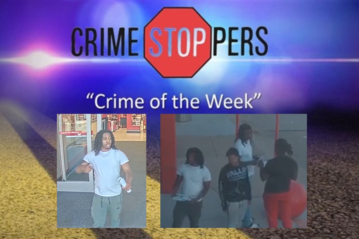 Can you identify these theft suspects?