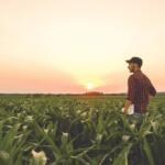 Farming