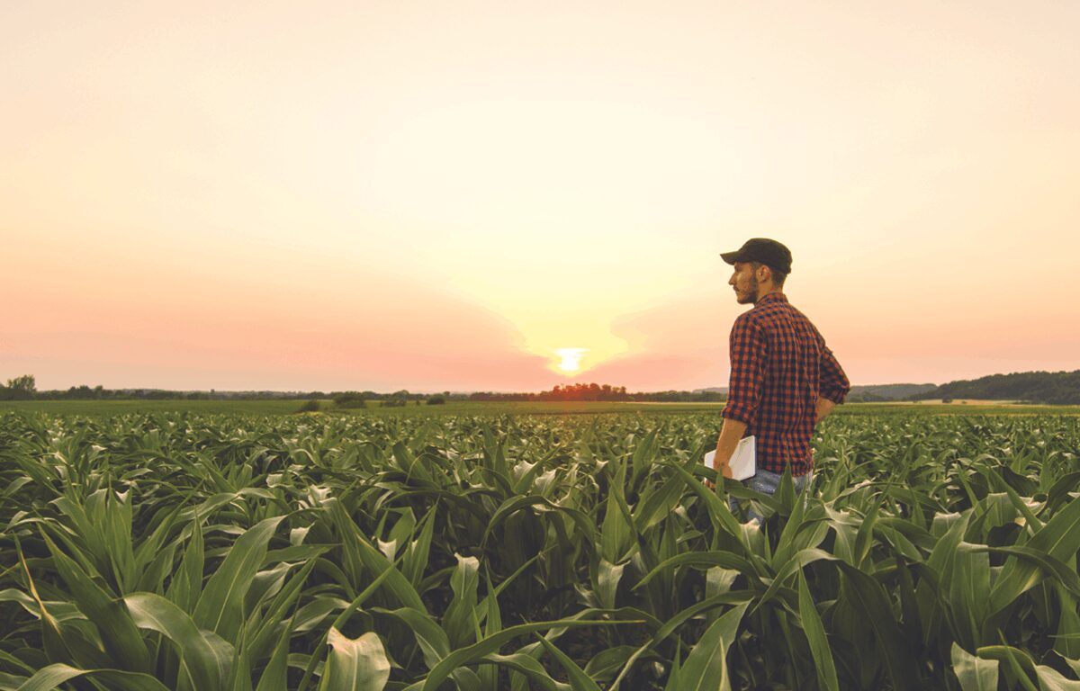 Farming