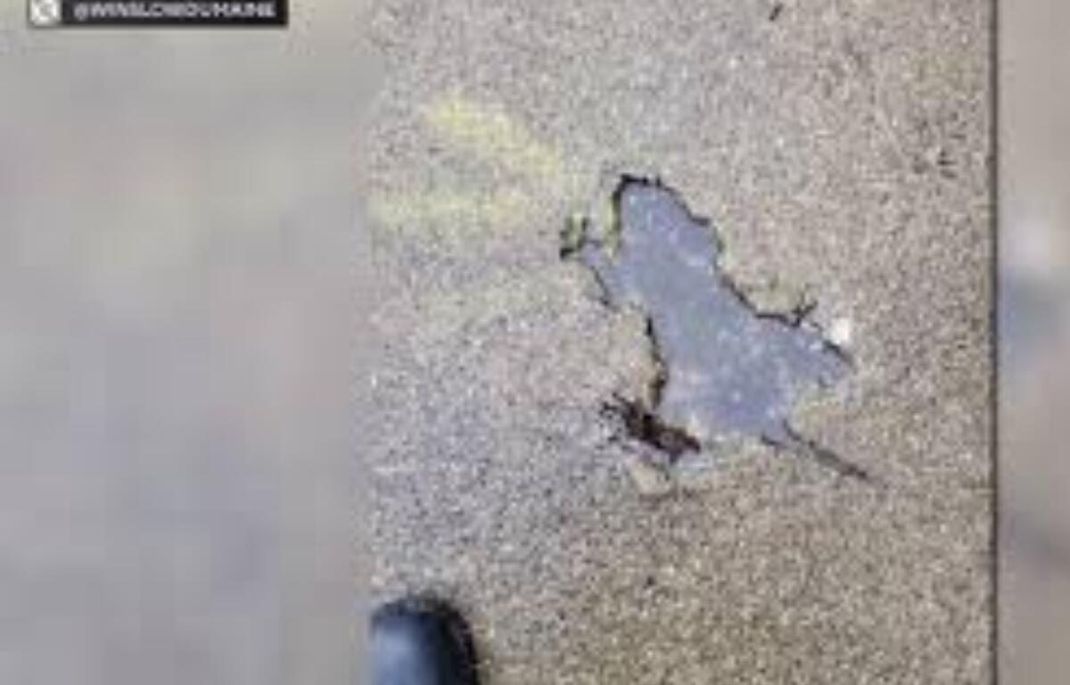 Chicago "rat hole"