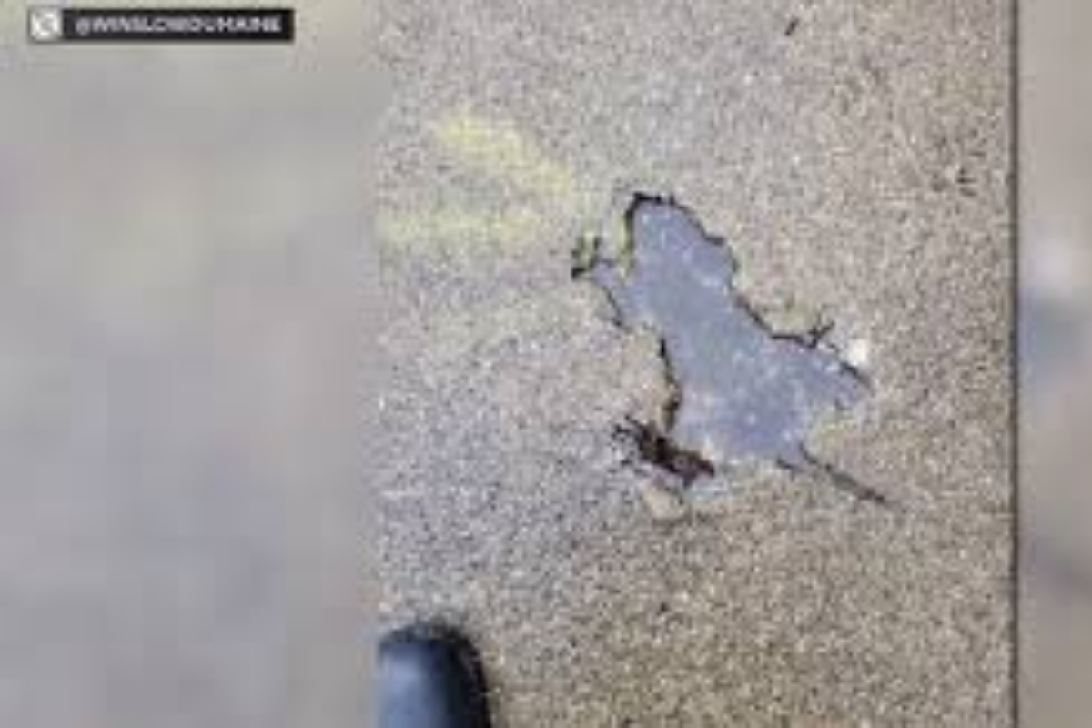 Chicago "rat hole"