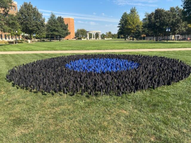 Illinois Innocence Project