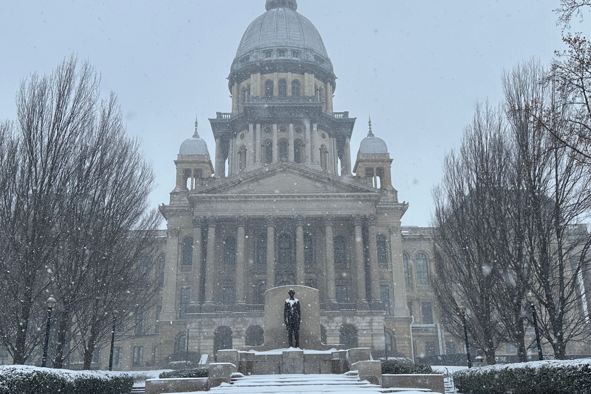 Snow falls on the Illinois Capitol Saturday, November 29.