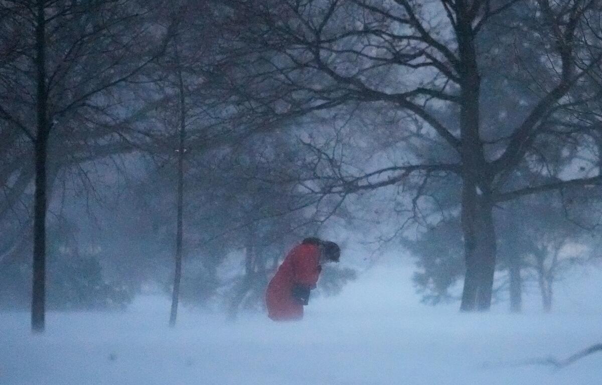 A person walks against the blowing snow Saturday, Nov. 29, 2025, in Chicago. (AP Photo/Kiichiro Sato)