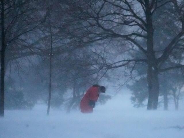 A person walks against the blowing snow Saturday, Nov. 29, 2025, in Chicago. (AP Photo/Kiichiro Sato)