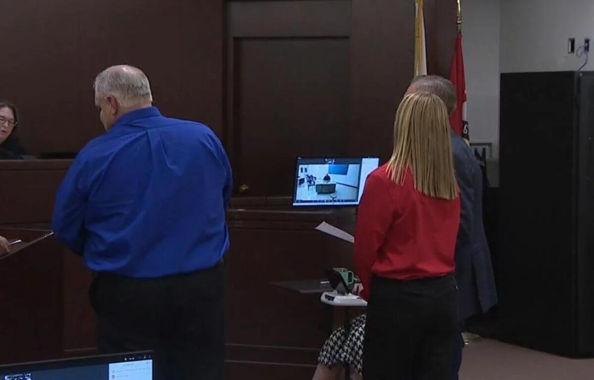 Peter Cadigan and Peggy Finley appear in Sangamon County Circuit Court.