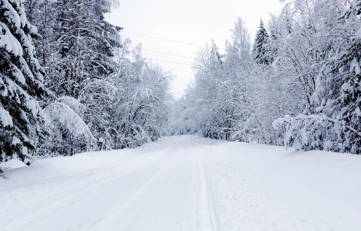 DO NOT USE FOR OTHER STORIES