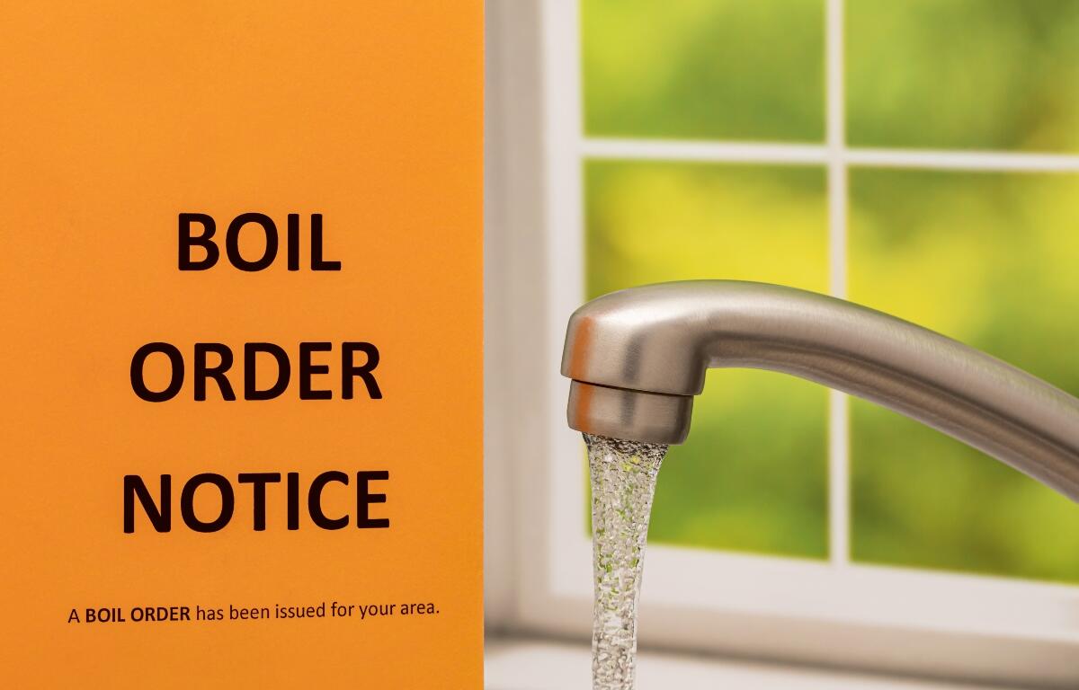 Boil order