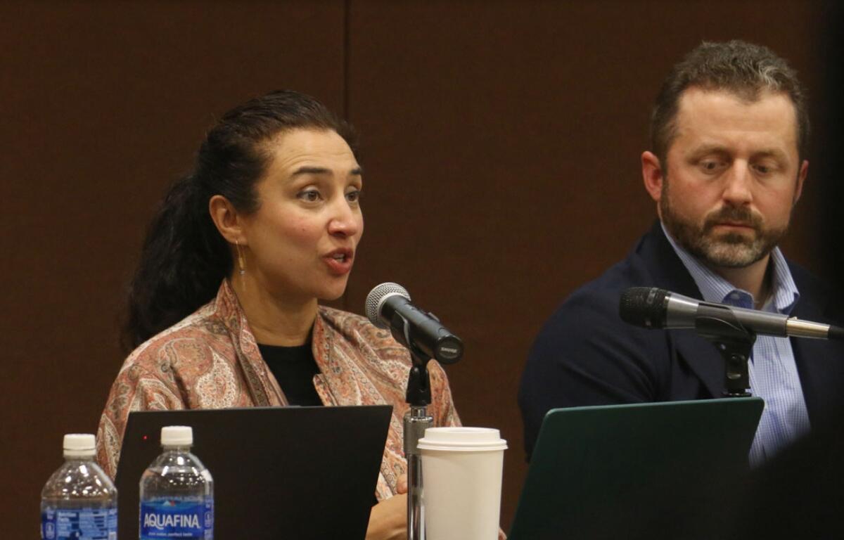 Emergency medicine physician Rohini Haar (left) and New Life Centers Chief Executive Officer Matt DeMateo provide testimony to the Illinois Accountability Commission during its Dec. 18 public meeting. (Capitol News Illinois photo by Maggie Dougherty)